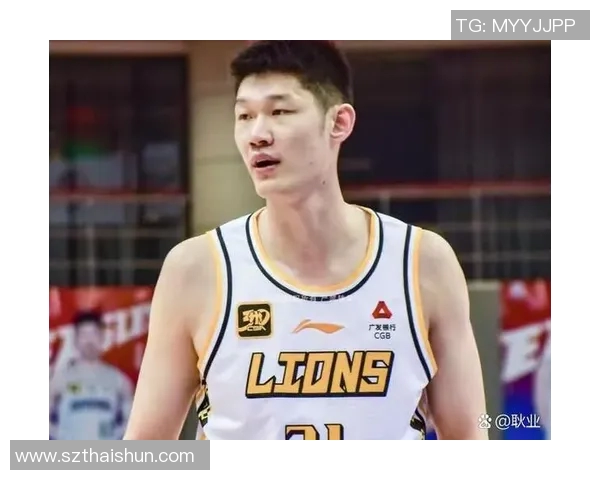 杭州篮球队与南京篮球队赛后复盘探讨团队协作的成功与不足之处 杭州篮球队与南京篮球队赛后复盘探讨团队协作的成功与不足之处