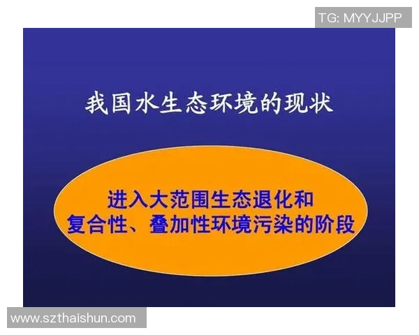 河床与克塞的对比分析探讨两者在生态与经济发展中的作用与影响
