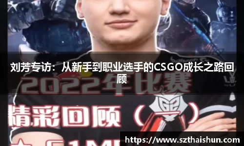 MK体育app