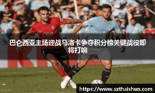 mksport体育app官网入口