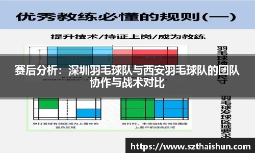 赛后分析：深圳羽毛球队与西安羽毛球队的团队协作与战术对比